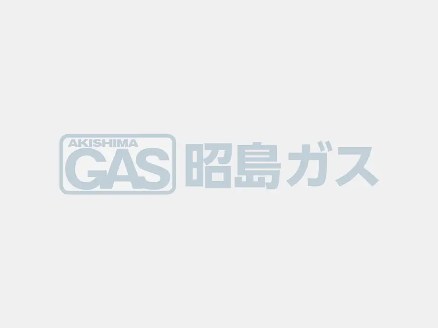 GQ-1679WS